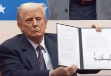 Trump retira tarifas de 40% sobre carne, café, frutas e outros produtos do Brasil