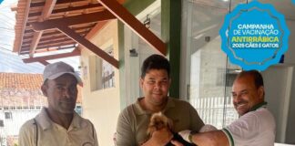 Campanha de Vacinação Antirrábica segue com novos pontos em Ipirá; confira cronograma