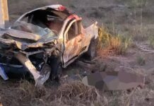 Animal na pista causa acidente com vítima fatal em Baixa Grande