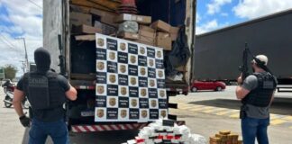 Polícia Civil baiana apreende 250 quilos de drogas; 2 suspeitos presos