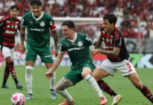Flamengo e Palmeiras disputam 7ª final brasileira da Libertadores