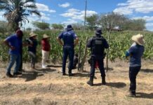 Quatro pessoas ficam feridas em briga com arma branca na zona rural de Capim Grosso