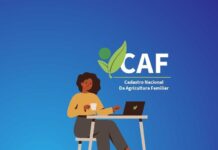 Mutirão do CAF acontece nos dias 18 e19 em Pintadas