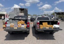 Mais de 200 quilos de drogas ligadas a organização criminosa do Rio de Janeiro são apreendidas em Santo Estêvão