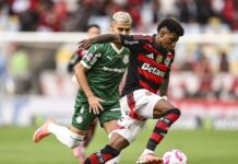 Tropeços à parte, Flamengo x Palmeiras já é histórico nos pontos corridos