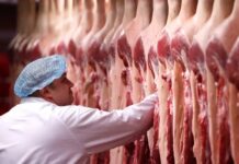 Trump manda investigar frigoríficos por ‘elevarem preço’ da carne bovina