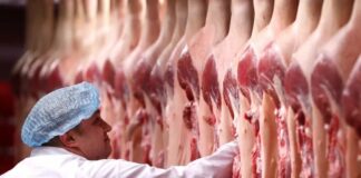 Trump manda investigar frigoríficos por ‘elevarem preço’ da carne bovina