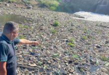 Vereador Jurandy Carvalho convoca mutirão para conter avanço do lixo no Rio Jacuípe