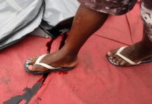 Cerca de 4,9 milhões tiveram rotina afetada por operação policial no Rio, diz Datafolha