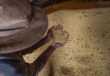 Livro aborda produção sustentável em meio à mudança climática