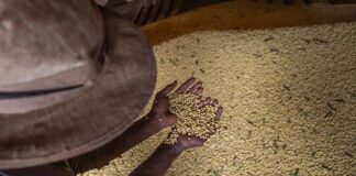 Livro aborda produção sustentável em meio à mudança climática