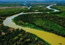 Relatório do MapBiomas revela Pantanal reconfigurado em 40 anos
