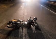 Animal na pista causa grade acidente na rodovia BA 052 em Ipirá