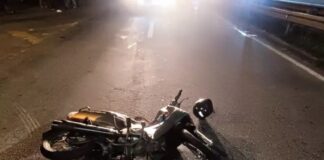 Animal na pista causa grade acidente na rodovia BA 052 em Ipirá