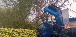 Caminhoneiro de 65 anos fica ferido após capotamento na BR-324, próximo a Vila Aparecida