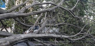 Volta a chover em São Paulo e número de pessoas sem luz aumenta