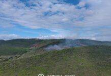 Vídeo Alerta Ambiental: imagens revelam a devastação da Mata da Caboronga em Ipirá (BA)