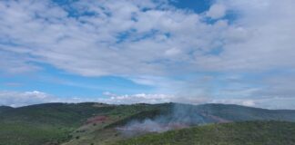 Vídeo Alerta Ambiental: imagens revelam a devastação da Mata da Caboronga em Ipirá (BA)