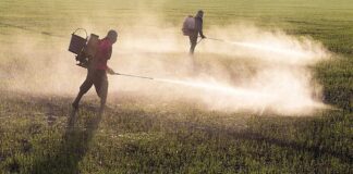 Brasil bate recorde de agrotóxicos aprovados, mais uma vez