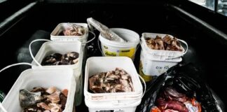 Vigilância apreende 430 kg de alimentos impróprios para consumo em cidade baiana