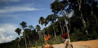 STF derruba marco temporal e determina a conclusão de demarcações