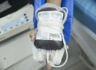 Risco de morte justifica transfusão em testemunha de Jeová, decide Tribunal