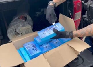 Polícia apreende cerca de 20 kg de cocaína em residência de Feira de Santana