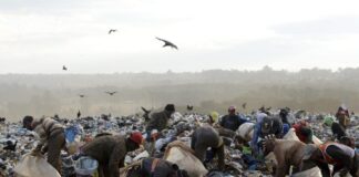 BAIXA GRANDE: Tribunal barra pregão por irregularidades em edital para limpeza urbana