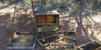 Apicultores de cidades da Bacia do Jacuípe estão sendo vítimas de furtos de mel e colmeias