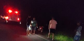 Animais soltos na pista provocam acidentes na BA 233 em Ipirá