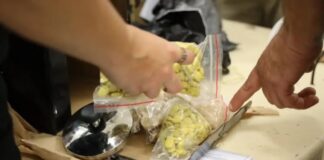 Polícia localiza vários tipos de drogas e armas de fogo em encomendas enviadas pelos Correios