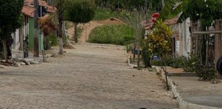 Cães são encontrados mortos por suspeita de envenenamento em Mairi