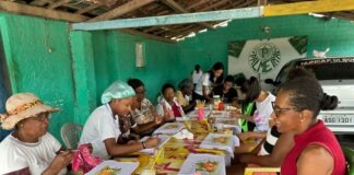 Curso de pintura em panos de prato é realizado na localidade da Jurema