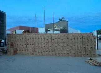 PRF apreende 380 mil maços de cigarros contrabandeados na Bahia