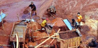 Empresário é condenado a 22 anos de prisão por liderar garimpo na terra Yanomami