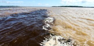 Manaus: helicóptero e sonares reforçam buscas por vítimas de naufrágio