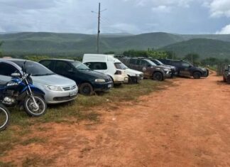 Cinco homens morreram e dez foram presos em operação na Chapada Diamantina