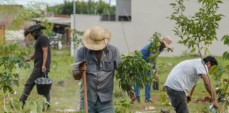 BB vai compensar emissões da COP15 no Brasil