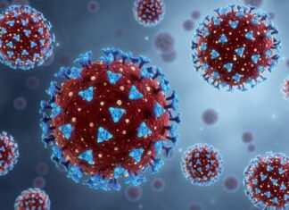Nova variante da Covid se espalha e já atinge 23 países; veja riscos