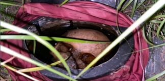 Mistério: Crânio humano é encontrado dentro de panela próximo ao Love Story em Ipirá