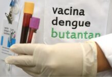 Dengue desacelera, mas mata 28 pessoas no Brasil em 2026