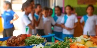 FNDE determina aplicação mínima de 45% dos recursos da merenda na agricultura familiar