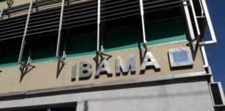 Ibama multa governo do Paraná em R$ 2,5 milhões por poluição no litoral