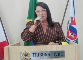 Ex-vereadora participa de Sessão Solene em homenagem às mulheres de Baixa Grande