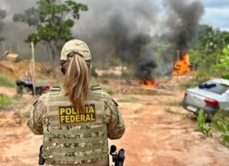 PF combate invasão de terras da União e tráfico em reserva indígena na Bahia