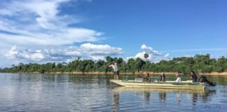 Peixes migratórios de água doce estão entre os mais ameaçados no mundo