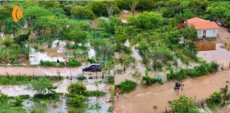 Chuvas transformam paisagem de comunidades rurais em Valente