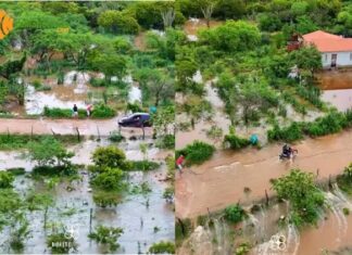 Chuvas transformam paisagem de comunidades rurais em Valente
