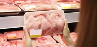 Guerra no Oriente Médio pode afetar um terço das exportações de frango e milho do Brasil