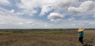 Fevereiro teve registro de seca mais branda em quatro regiões do país